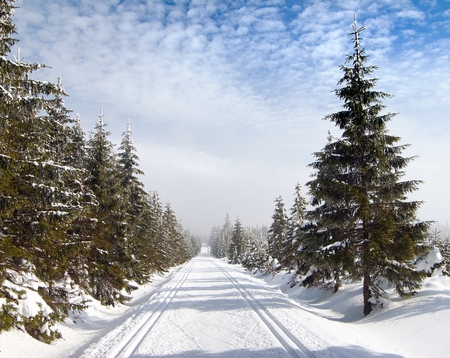wintry landscape scenery with modified cross country skiing wayの写真素材