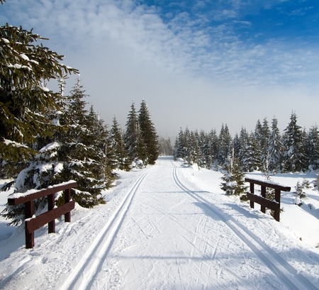 wintry landscape scenery with modified cross country skiing wayの写真素材