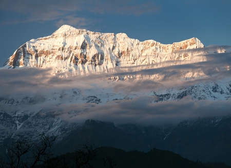 Evening view of Gurja Himal - Dhaulagiri Himal - Nepalの写真素材