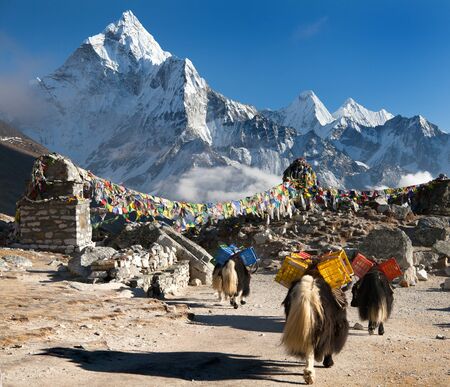 Ama Dablam with caravan of yaks and prayer flags  way to Mount Everest base camp  Sagarmatha national park  Nepalの写真素材
