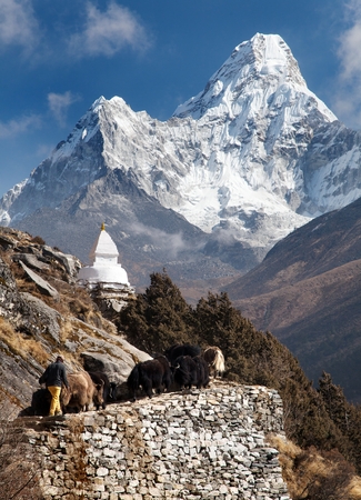 View of Ama Dablam with stupa and caravan of yaks  way to Everest base camp  Sagarmatha national park  Nepalの写真素材