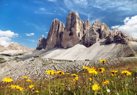 Drei Zinnen or Tre Cime di Lavaredo with beautiful flowering meadow, Sextener Dolomiten or Dolomiti di Sesto, South Tirol, Dolomiten mountains view, Italian Alpsの写真素材
