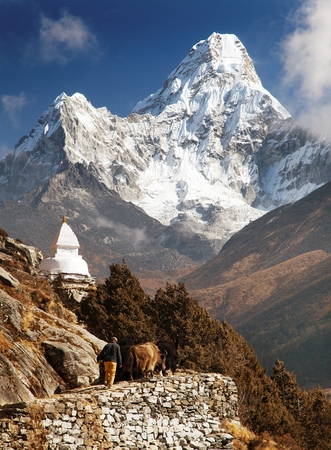 View of Ama Dablam with stupa and caravan of yaks - way to Everest base camp - Sagarmatha national park - Nepalの写真素材