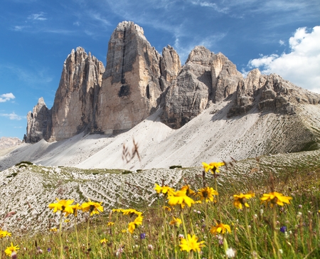 Drei Zinnen or Tre Cime di Lavaredo with beautiful flowering meadow, Sextener Dolomiten or Dolomiti di Sesto, South Tirol, Dolomiten mountains view, Italian Alpsの写真素材