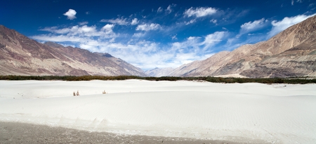 Dunes in Nubra Valley - Ladakh - Jammu and Kashmir - Indian Himalayasの写真素材