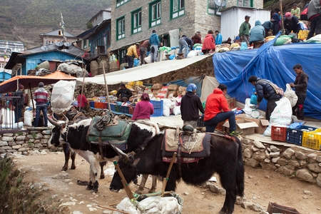 NEPAL, NAMCHE BAZAR, 13th MAY 2016 - bazaar in Namche Bazar village, there is center of Khumbu Valley, Sagarmatha national park, Nepalのeditorial素材