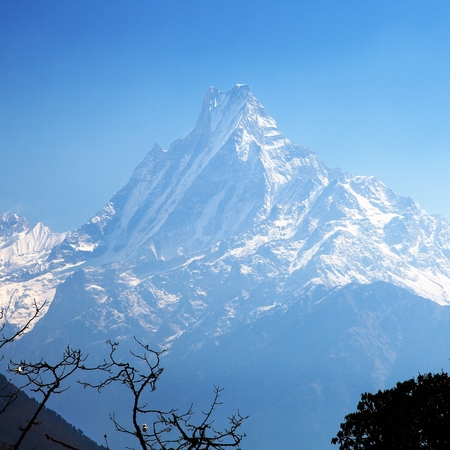 mount Machhapuchhre, blue colored silhouette, Annapurna area, morning view, Nepal mount Machhapuchhre, blue colored silhouette, Annapurna area, morning view, Nepal