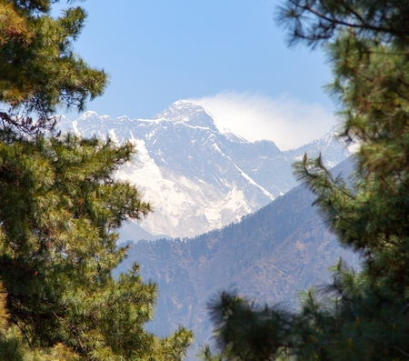 View of Mount Everest near Namche Bazar in the middle pine trees, Khumbu valley, Solukhumbu, Sagarmatha national park, Himalaya, Nepalの写真素材