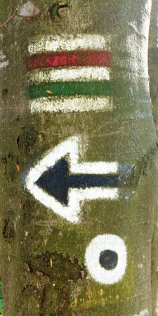 Red blue and green tourist or hiking trail signs symbols on tree trunkの写真素材