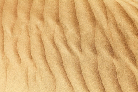 desert sand dunes, sand waves on Cerro Blanco sand dune, the highest dunes on the world, located...