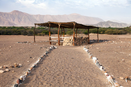 Historical excavations of preinca nazca civilisation cemetery of Chauchilla at Nazca in Peru