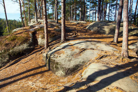Mastale rockies or Toulovcovy mastale rock city near Prosec town, Sandstone rockies in Czech Republicの写真素材