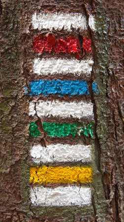 red yellow green and blue tourists signs symbols is used in Czech republic marked on tree trunk backgroundの写真素材