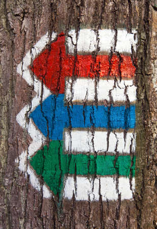 red green and blue tourists signs symbols with arrows is used in Czech republic for tourist navigation marked on tree trunk backgroundの写真素材
