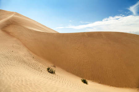 Cerro Blanco sand dune, one of the highest dunes on the world located near Nasca or Nazca town in Peruの写真素材