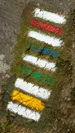 red yellow green and blue tourists signs symbols is used in Czech republic marked on tree trunk...