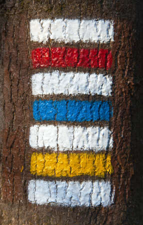 red yellow green and blue tourists signs symbols is used in Czech republic marked on tree trunk backgroundの写真素材