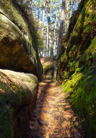 Mastale rockies or Toulovcovy mastale rock city near Prosec town, Sandstone rockies in Czech Republicの写真素材