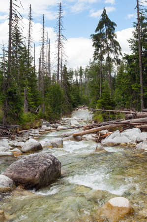 Waterfalls at stream Studeny potok in High Tatras mountains, Carpathia, Slovakiaの写真素材