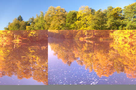 Ohre river and autumnal view of forest mirroring on water surface lakeの写真素材