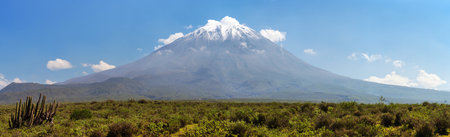 El Misti volcano and cactus, one of the best of volcanoes near Arequipa city in Peruの写真素材