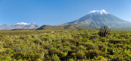 El Misti and chachani volcanoes and cactus, panoramic view, the best of volcanoes near Arequipa city in Peruの写真素材