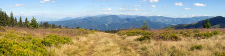 View from Velka Fatra mountains to Nizke Tatry range Carpathian mountainsの写真素材