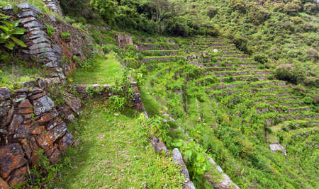 Choquequirao, one of the best Inca ruins in Peru. Choquequirao Inca trekking trail near Machu Picchu. Cuzco region in Peru. Terraced fieldsのeditorial素材