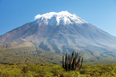 El Misti volcano and cactus, one of the best of volcanoes near Arequipa city in Peruの写真素材