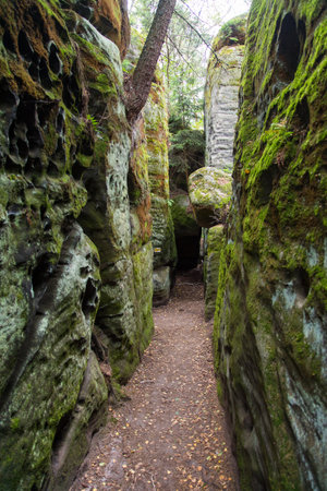 Hruboskalske skalni mesto rock panorama, sandstone rock city, Cesky raj, czech or Bohemian paradise, Czech Republicの写真素材