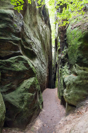 Hruboskalske skalni mesto rock panorama, sandstone rock city, Cesky raj, czech or Bohemian paradise, Czech Republicの写真素材