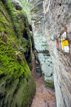 sandstone rock city, Cesky raj, czech or Bohemian paradise, Czech Republicの写真素材