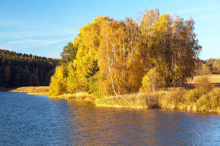 autumn view of pond with reflection of colorful autumn forest landscape, Divka pond, Hamry nad Sazavou, Bohemian and Moravian highlands, Czech Republicの写真素材
