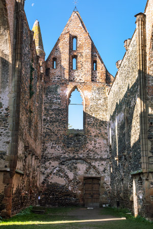 Rosa coeli, ruins of church and monastery, Dolni Kounice near Ivancice town, South Moravia, Czech Republicの写真素材