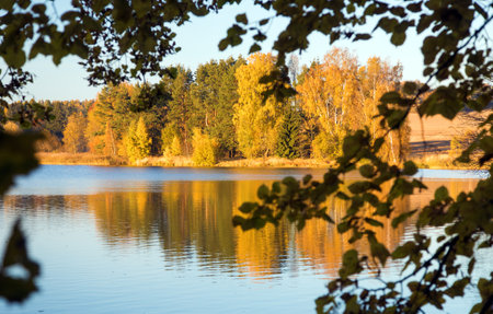 autumn view of pond with reflection of colorful autumn forest landscape, Divka pond, Hamry nad Sazavou, Bohemian and Moravian highlands, Czech Republicの写真素材