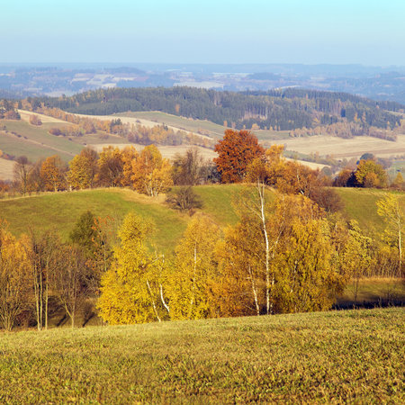 autumn panorama from bohemian and moravian highland, view from Konikov Vecov village, Zdarske vrchy, Czech Republicの写真素材