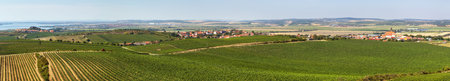 Vineyards and Zajeci village, view from Pritlucka hora, South Moravia, Czech Republicの写真素材