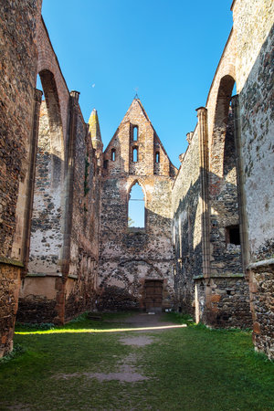 Rosa coeli, ruins of church and monastery, Dolni Kounice near Ivancice town, South Moravia, Czech Republicの写真素材