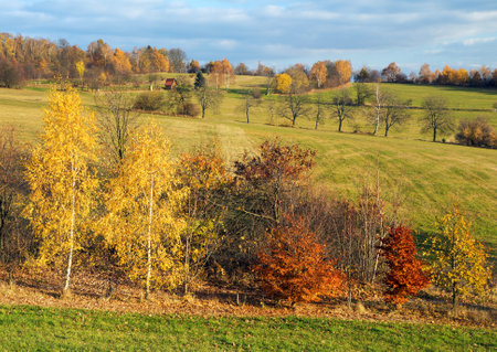 autumn scenery from Bohemian and Moravian highland - Czech Republic - Europeの写真素材