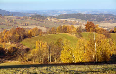 autumn panorama from bohemian and moravian highland, view from Konikov Vecov village, Zdarske vrchy, Czech Republicの写真素材
