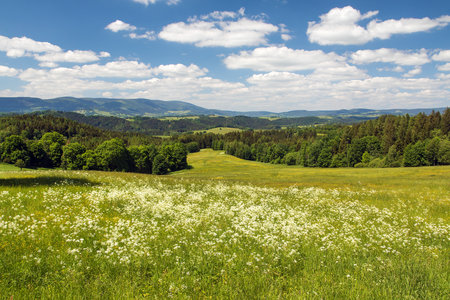 the foothills of the JesenÃ­ky Mountains with a view of Kralicky Sneznikの写真素材
