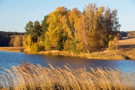 autumn view of pond with reflection of colorful autumn forest landscape, Divka pond, Hamry nad Sazavou, Bohemian and Moravian highlands, Czech Republicの写真素材