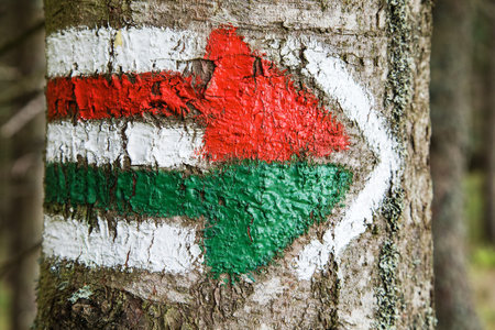 red and green tourist signs symbols are used in Czech republic and Slovakia, marked on tree trunk...