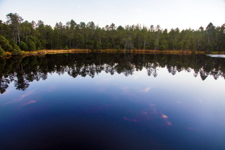 Big Moss Lake, in local Velke mechove jezirko, peat lake near the village of RejvÃ­z in the...
