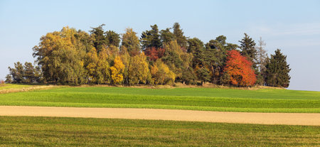 autumn scenery from the Bohemian and Moravian highlands, panoramic view, Czech Republic, Europeの写真素材