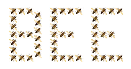 the word bee composed of many bees on the white background, honey bee or honeybee in Latin Apis Melliferaの写真素材