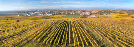 Velke Pavlovice among vineyards panoramic view, view from the lookout tower Slunecna, south moravian...
