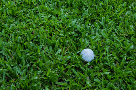 golf ballの写真素材
