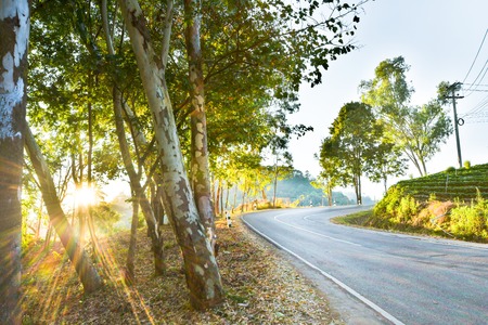 Landscapeの写真素材