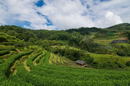 landscapeの写真素材
